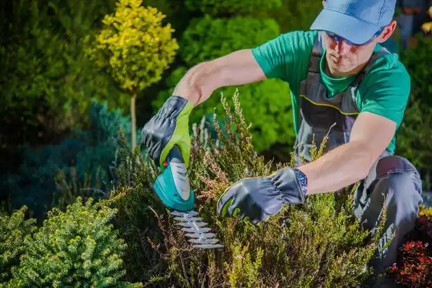 landscaping services Arcadia